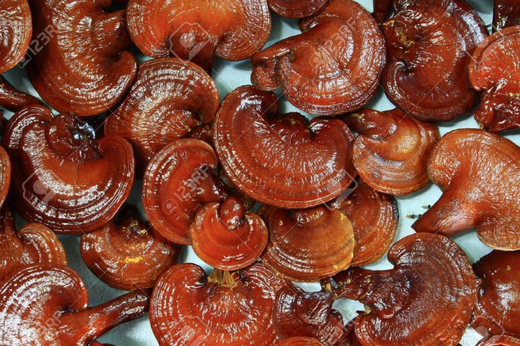 El Poder de los Productos Naturales